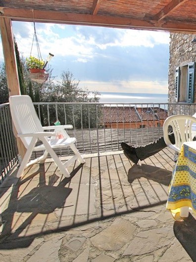 terzorio33R