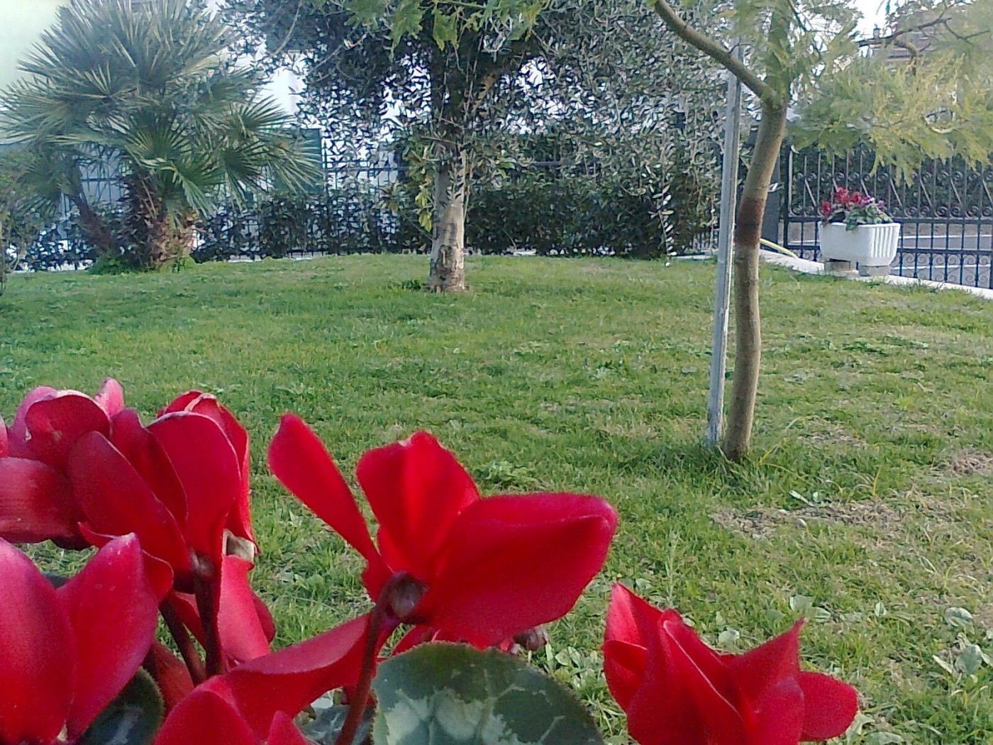 Foto0981 r